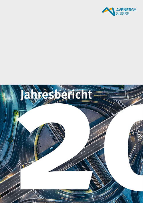 Jahresbericht 2020 de